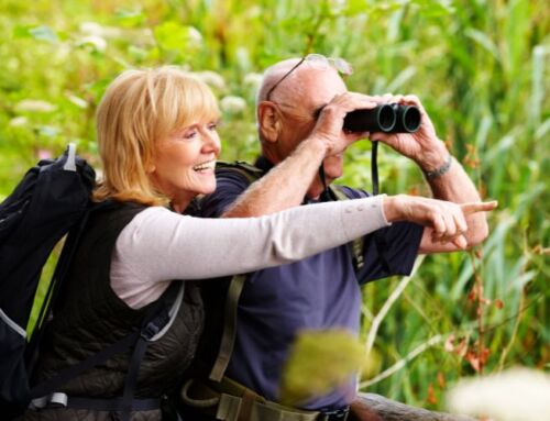 Exploring Nature and Outdoor Activities in Sun City Center Assisted Living